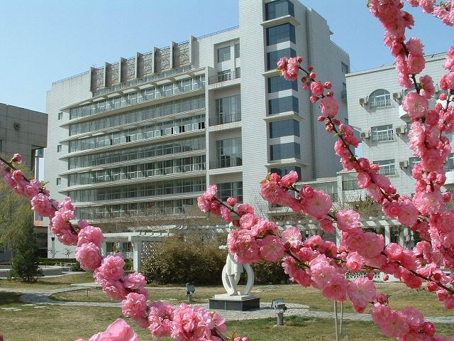 免费看大鸡吧操